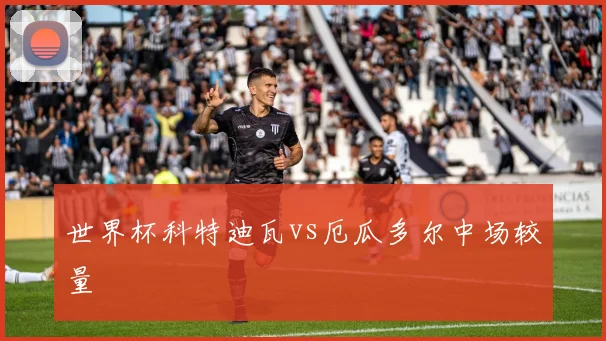 世界杯科特迪瓦vs厄瓜多尔中场较量