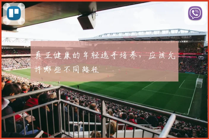 真正健康的年轻选手培养，应该允许哪些不同路径