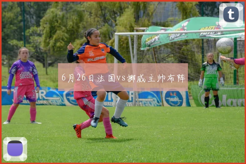 6月26日法国vs挪威主帅布阵