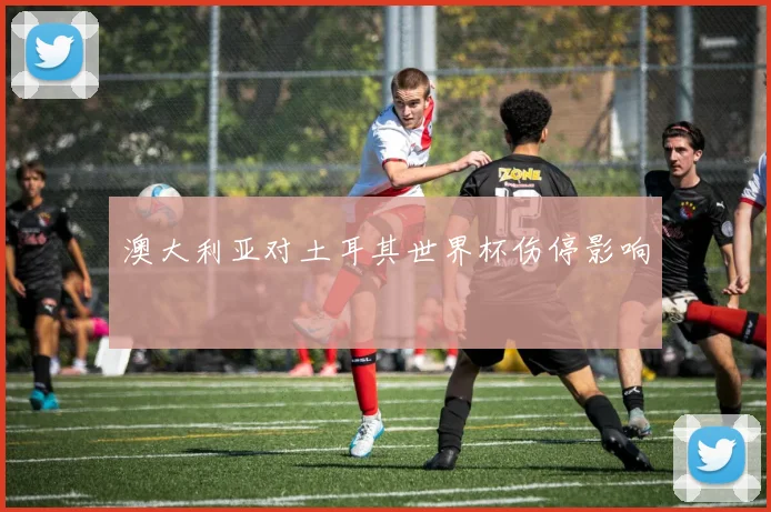 澳大利亚对土耳其世界杯伤停影响