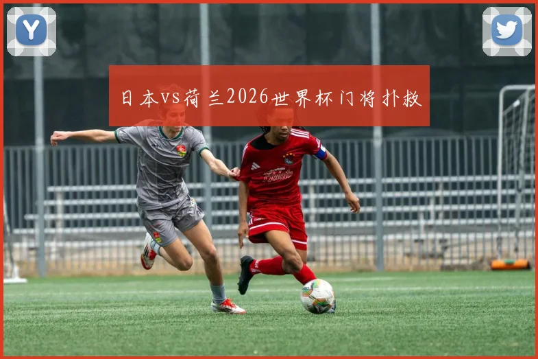 日本vs荷兰2026世界杯门将扑救