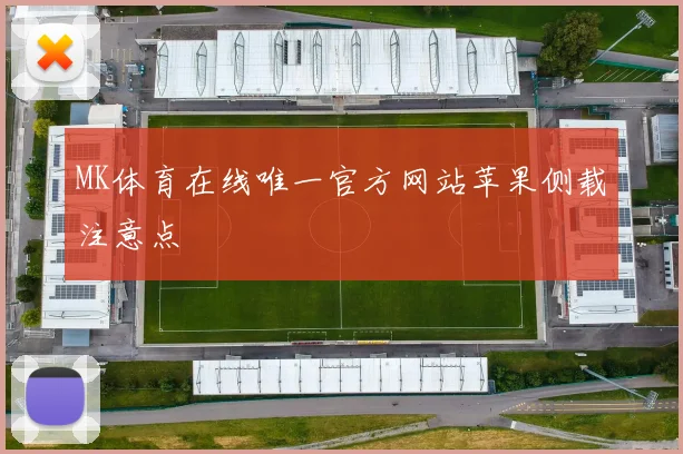 MK体育在线唯一官方网站苹果侧载注意点