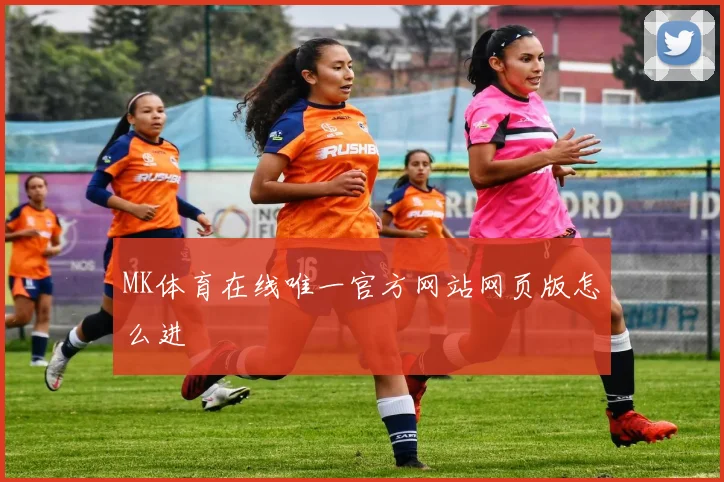 MK体育在线唯一官方网站网页版怎么进