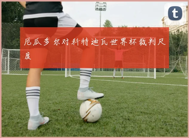 厄瓜多尔对科特迪瓦世界杯裁判尺度