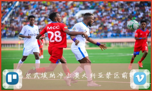 巴尔武埃纳冲击澳大利亚禁区前瞻