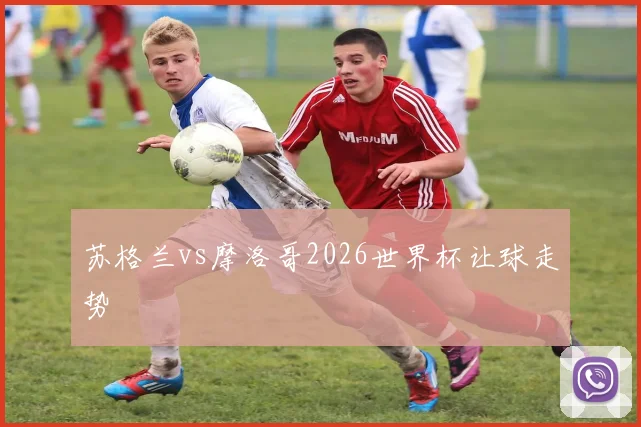 苏格兰vs摩洛哥2026世界杯让球走势