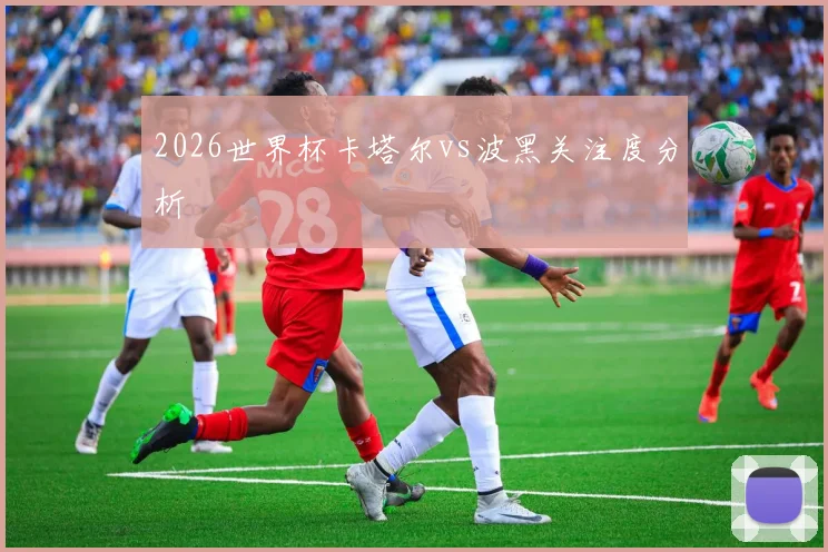 2026世界杯卡塔尔vs波黑关注度分析