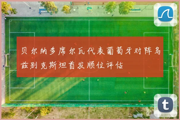 贝尔纳多席尔瓦代表葡萄牙对阵乌兹别克斯坦首发顺位评估