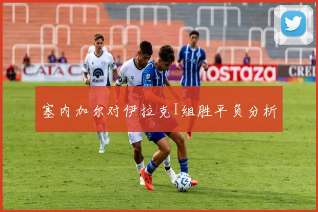 塞内加尔对伊拉克I组胜平负分析