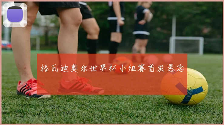 格瓦迪奥尔世界杯小组赛首发悬念