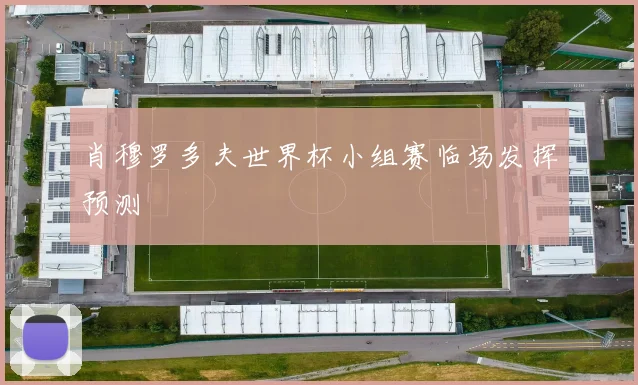 肖穆罗多夫世界杯小组赛临场发挥预测