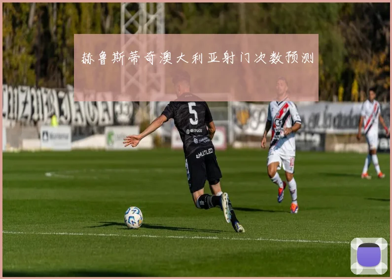 赫鲁斯蒂奇澳大利亚射门次数预测