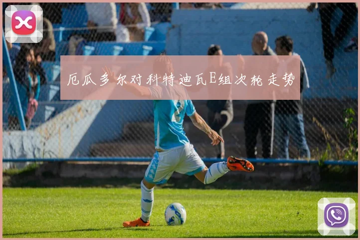 厄瓜多尔对科特迪瓦E组次轮走势